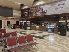 -嘉华国际影城(学清路店)