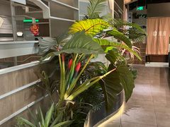 -湊湊火锅·茶憩(皇姑万象汇店)