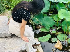 -西海子公园