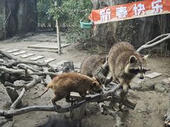 -宁波野生动物园