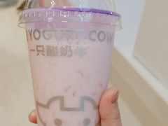 -一只酸奶牛(时代天街A馆店)