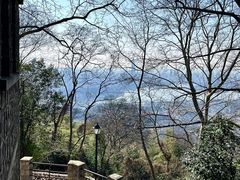 -紫金山天文台