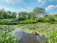 -西溪国家湿地公园