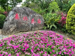 -广州市流溪河国家森林公园