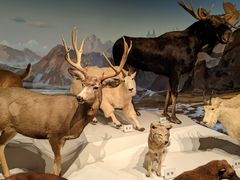 -陕西自然博物馆