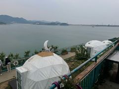 -望湖烤鱼