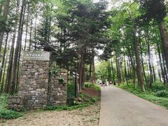 -莫干山风景区