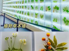 -广东中医药博物馆
