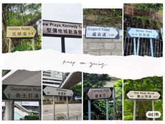 -太平山顶