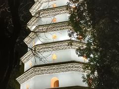 -阆辣荟餐饮(老味道8年·古城店)