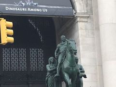 -美国自然历史博物馆