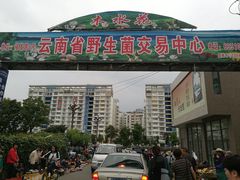 门面-菌粹源野生菌(木水花市场店)