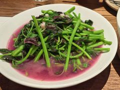 -鸽子窝(青塔店)