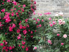 -回龙窝历史文化街区