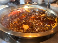 -花鲢鱼头火锅(春城东路店)