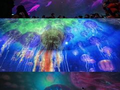 -烟台海昌鲸鲨海洋公园