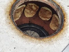 -杨家牛肉汤(淮建路店)