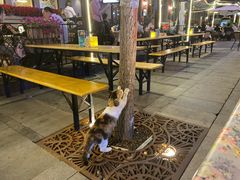 露天位-巴伐利亚啤酒坊(意式风情街店)