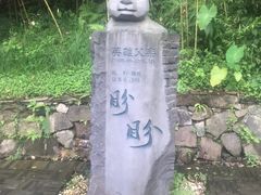 -都江堰中华大熊猫苑
