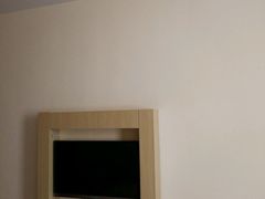 -汉庭(上海陆家嘴东方明珠店)
