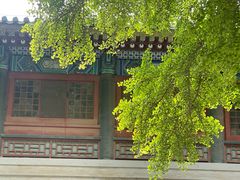 -国家图书馆·古籍馆