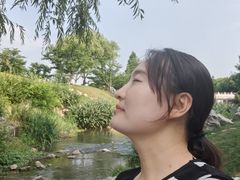 -羊山湖公园