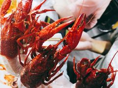 -霸王虾·麻辣小龙虾(清水河公园店)