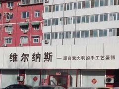 -维尔纳斯·生日蛋糕动物奶油冰淇淋蛋糕(人大店)