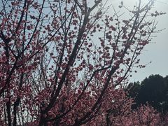 -天鹅湖体育公园
