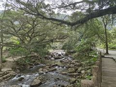 -广州市石门国家森林公园