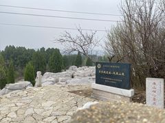 -原山国家森林公园