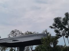 -成飞公园