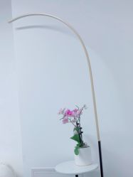 -联合丽格·张菡丽格医疗美容