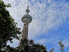 -南京古林公园