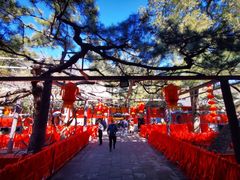 -红螺寺
