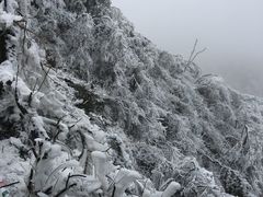 -南岳衡山风景名胜区-南岳大庙