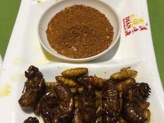 -昆虫窝子·特色云南菜(拓东路总店)