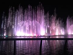 -武清南湖绿博园