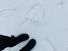 -鳌山滑雪度假区