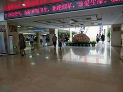 刚进门诊大厅-中国中医科学院西苑医院(本部)