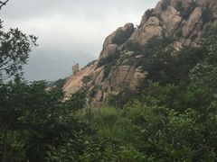 -山文星辉影城(青岛和谐广场店)