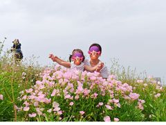 -三圣花乡旅游区