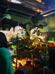 -恐龙探索乐园(磁器口店)