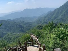 -大岭沟猕猴桃谷风景区