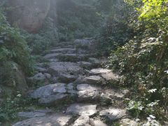 -阳台山自然风景区