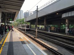 -美心皇宫(屯门大会堂店)