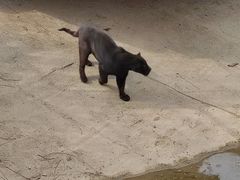 -济南野生动物世界