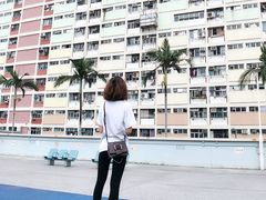 -彩虹村