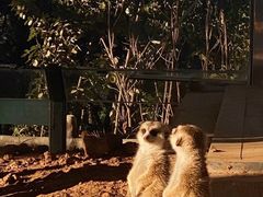 -济南野生动物世界