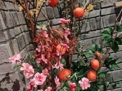-老牌坊云南鱼豆花火锅(哈西万达店)